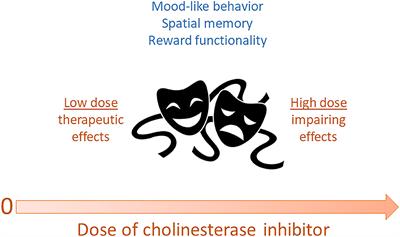 Repurposing Cholinesterase Inhibitors as Antidepressants? Dose and Stress-Sensitivity May Be Critical to Opening Possibilities